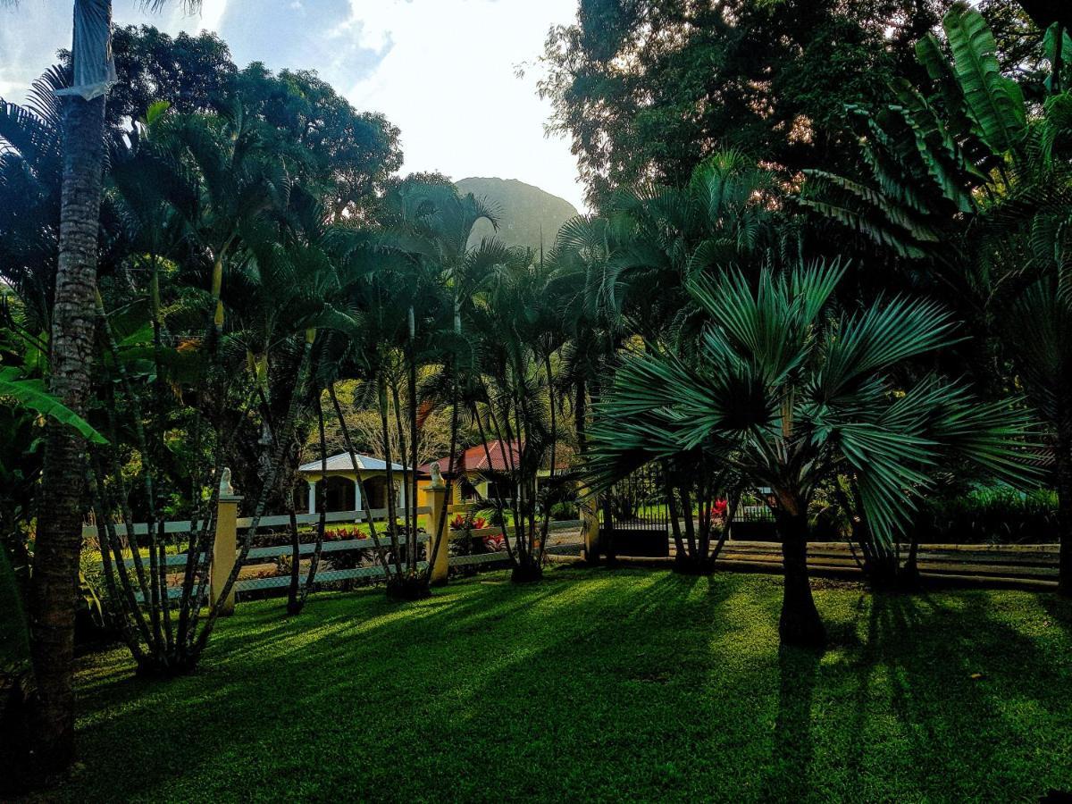 Tower Studio In The Treetops In Altos Del Maria Panama El Picacho Exterior foto